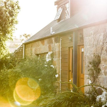 Daisy Bank Cottages Richmond Zewnętrze zdjęcie
