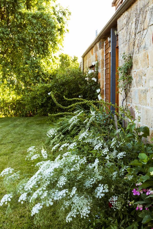 Daisy Bank Cottages Richmond Zewnętrze zdjęcie