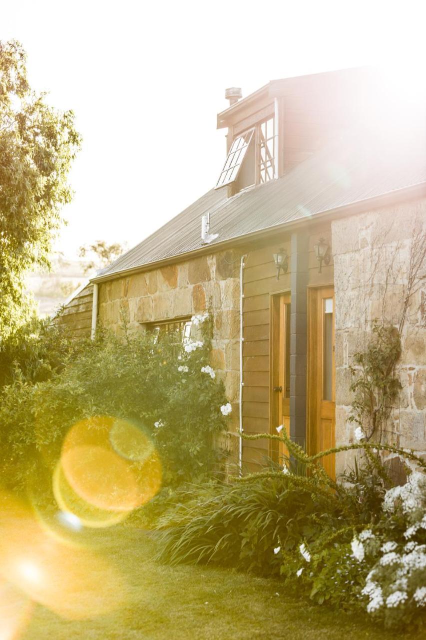 Daisy Bank Cottages Richmond Zewnętrze zdjęcie